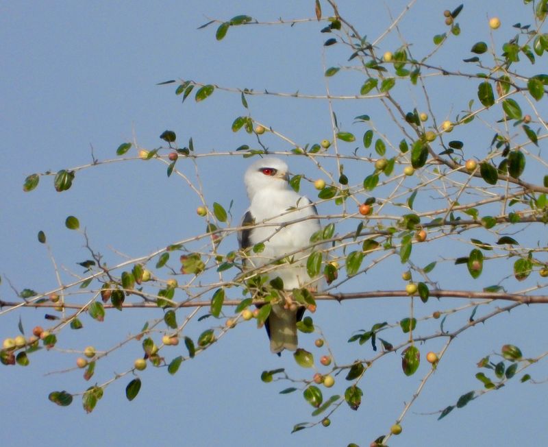 dscn8823.jpg