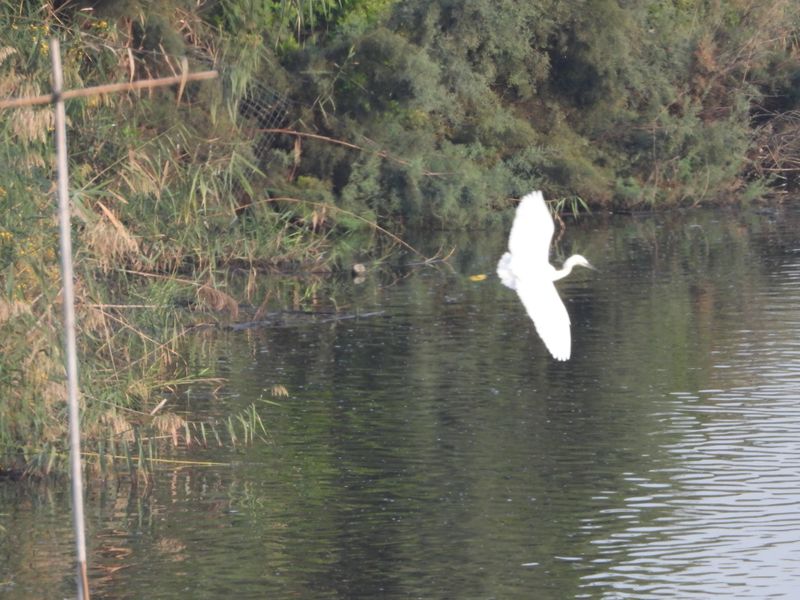 dscn8952.JPG
