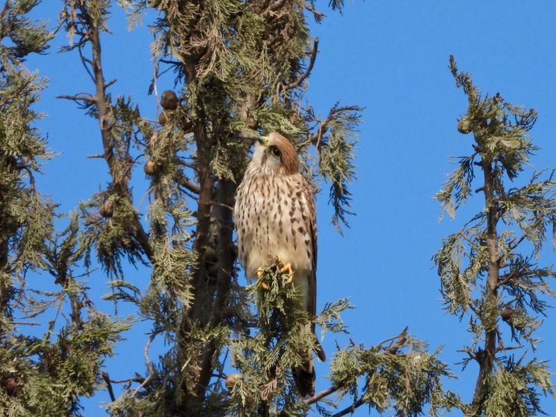 dscn9555.jpg