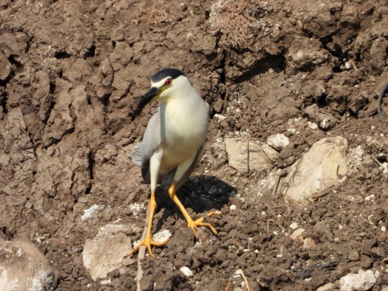 dscn9739.jpg