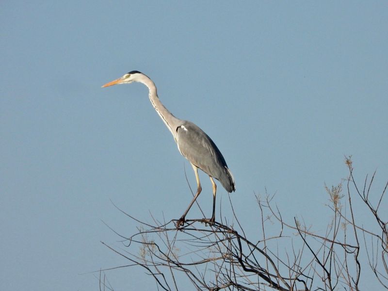 IMG_3275.jpg