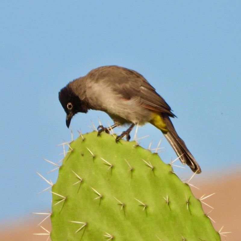 IMG_3627.JPG