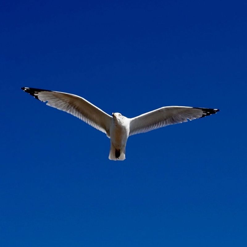 IMG_3819.JPG