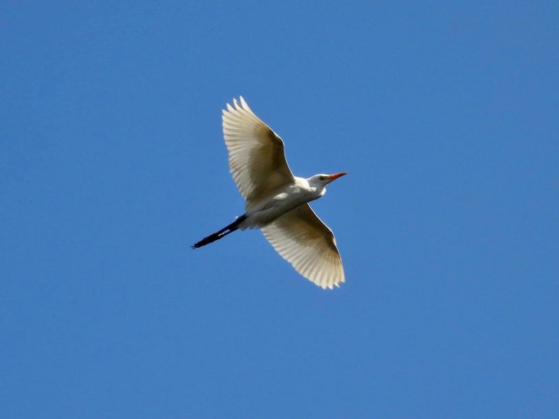 IMG_9076.JPG