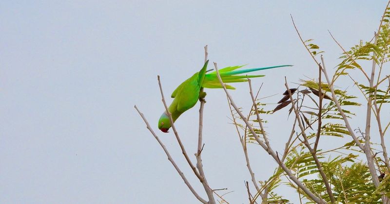 IMG_6630.JPG