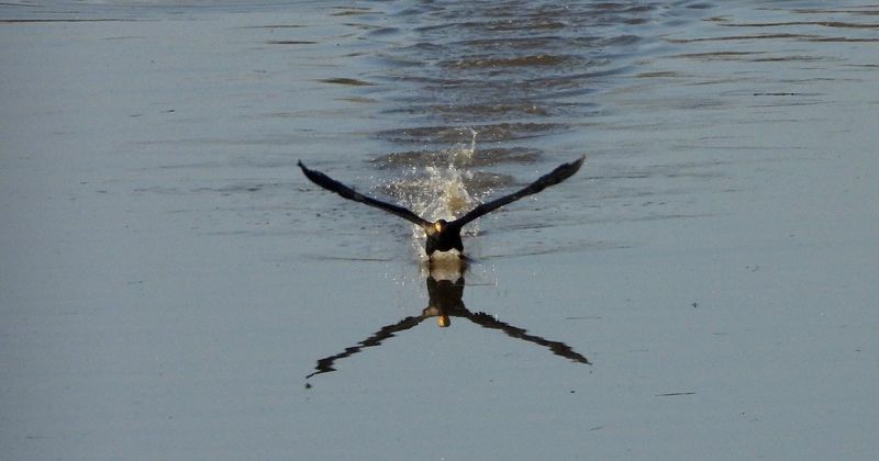 IMG_6628.JPG