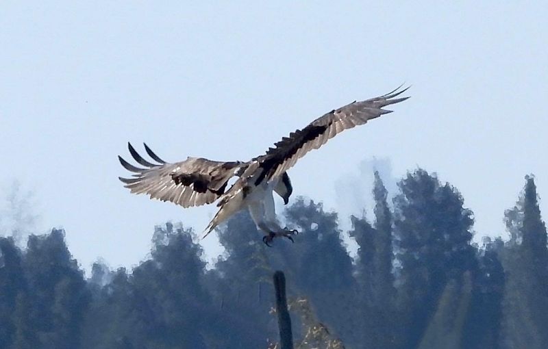 IMG_8471.JPG