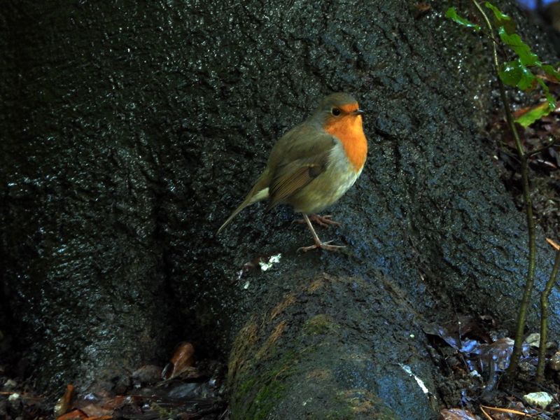 DSCN5934.JPG