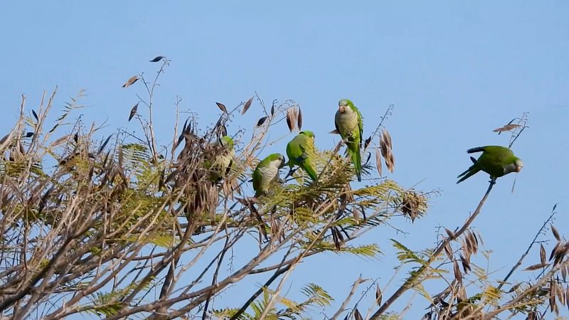 IMG_5713.JPG