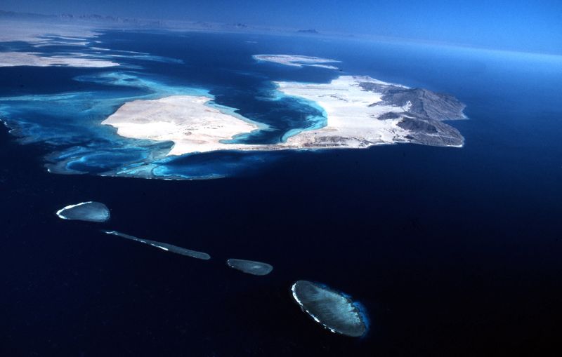 Popular dive sites around the Tiran Straits 