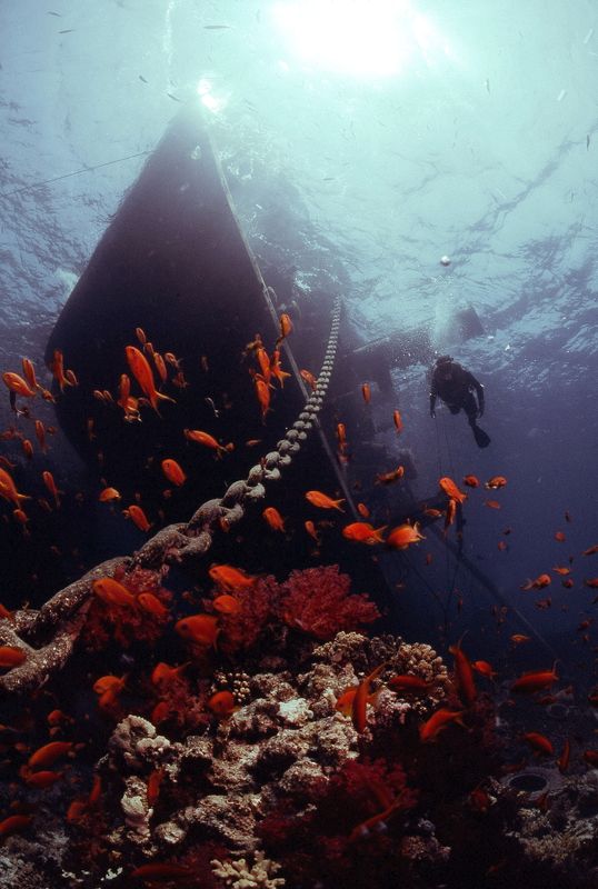Jolanda submerged at Ras Mohammed 1980