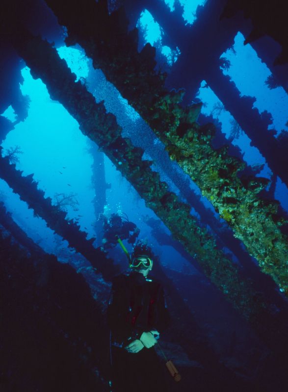 Carnatic wreck,Abu Nuhas 1981 