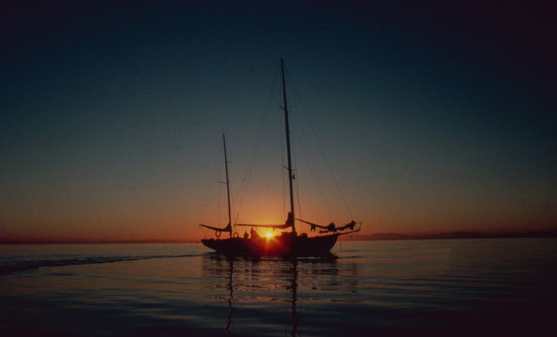 Nirvana returns from Egyptian coast recce 1981