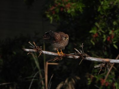 IMG_5477.JPG