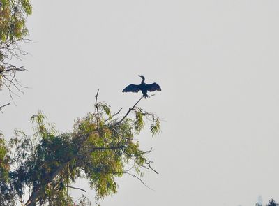 IMG_6042.JPG