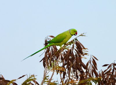 IMG_6036.JPG