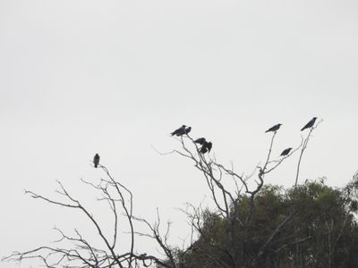 IMG_6018.JPG