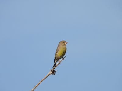 IMG_5942.JPG