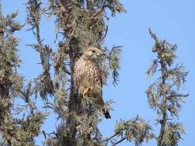 IMG_6495.JPG