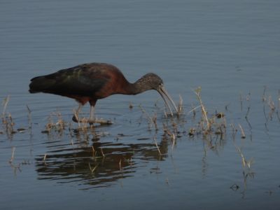 IMG_6439.JPG