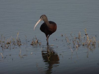 IMG_6443.JPG