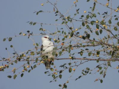 IMG_6370.JPG