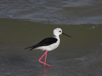 IMG_4819.JPG