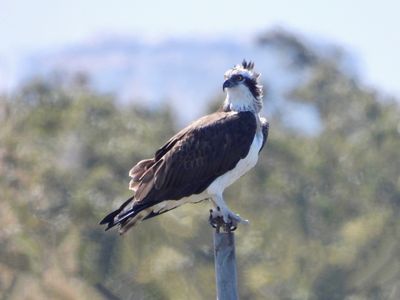 IMG_8465.JPG