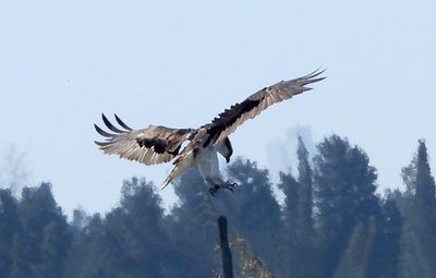 IMG_8471.JPG