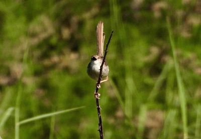 6414E32D-D5C3-4FCB-A2E4-4737FF9ED4B2.JPG
