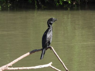 IMG_8970.JPG