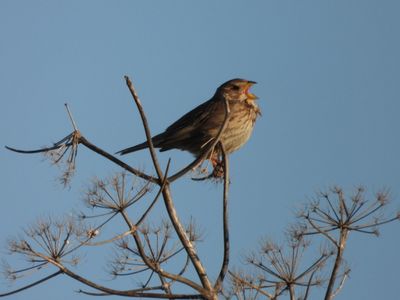 IMG_8895.JPG