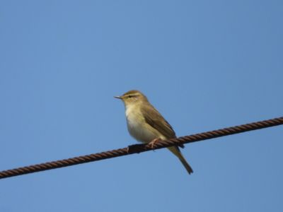 IMG_8859.JPG