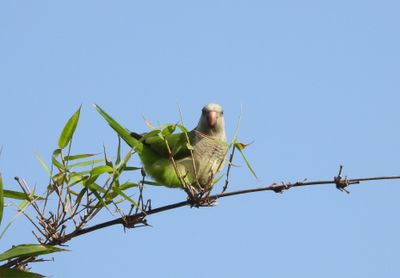 IMG_9363.JPG