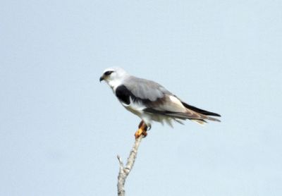 IMG_9360.JPG