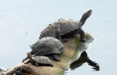 IMG_9356.JPG
