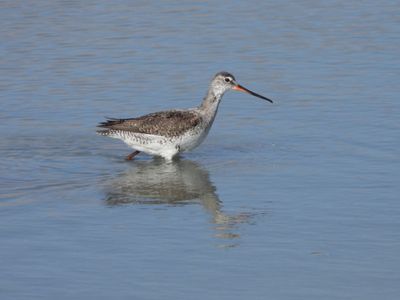 IMG_9426.JPG