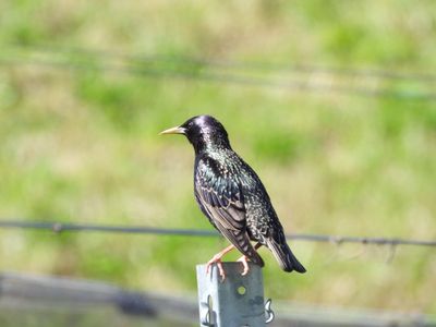 IMG_9740.JPG