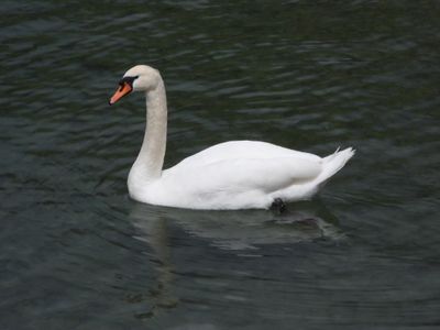 IMG_9758.JPG