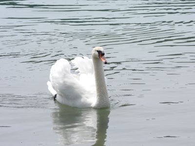 IMG_9935.JPG