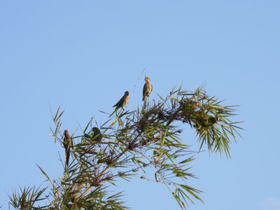 IMG_1187.JPEG
