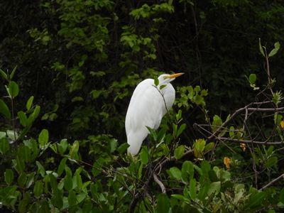 IMG_2252.JPG