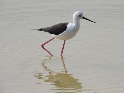 IMG_3885.JPG