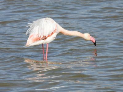 IMG_3843.JPG