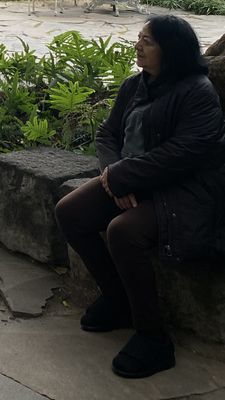 g13/86/643886/3/175197359.5404a75b.JPEG