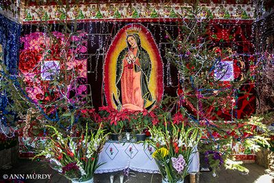 The Guadalupe altar