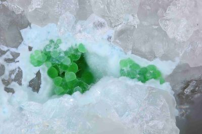 Conchalcite