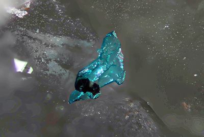 Posnjakite