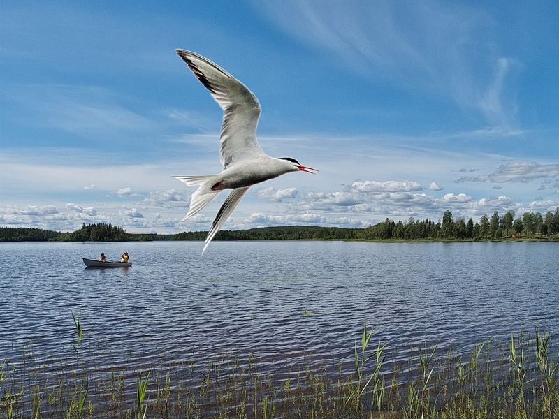 Sommar och semester-knsla! Bildcollage
