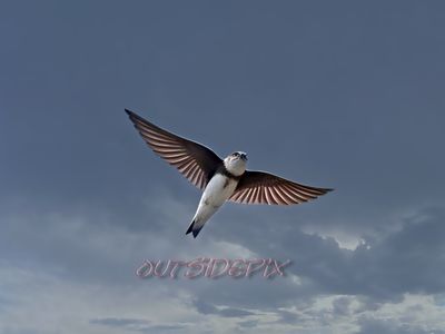 My Photo Art